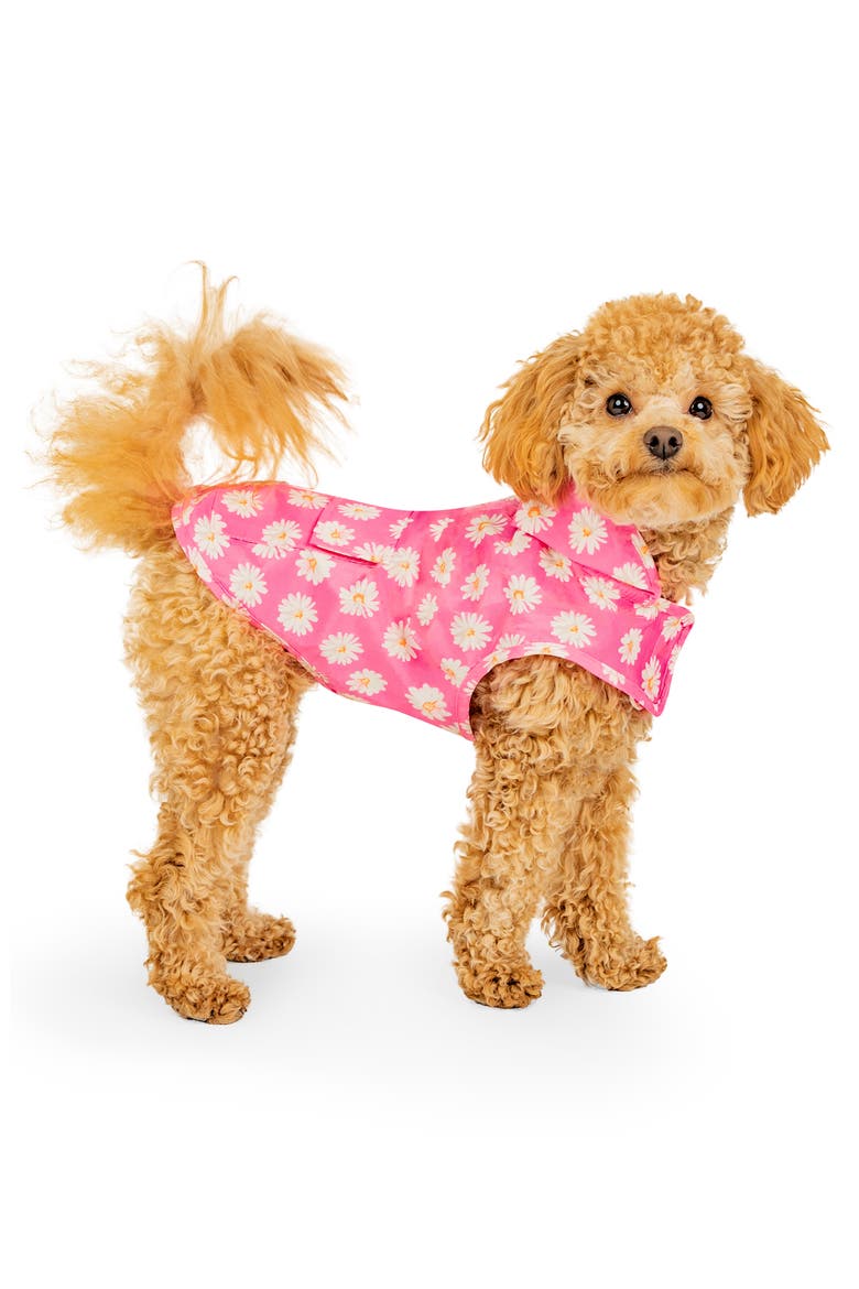 Pick Me Water Resistant Pet Poncho, Alternate, color, DAISY