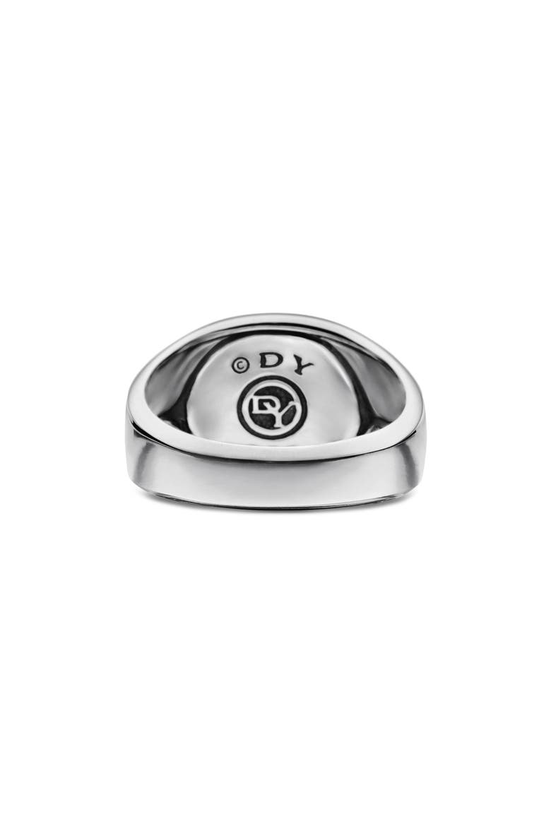 'Exotic Stone' Signet Ring in Silver, Alternate, color, PIETERSITE