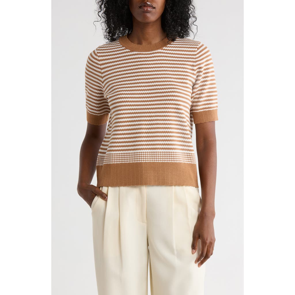 Adrianna Papell Stripe Short Sleeve Sweater In Brown