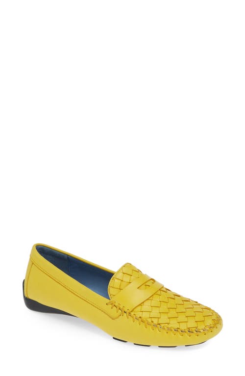 Robert Zur 'Petra' Driving Shoe in Gold Finch Glove  product