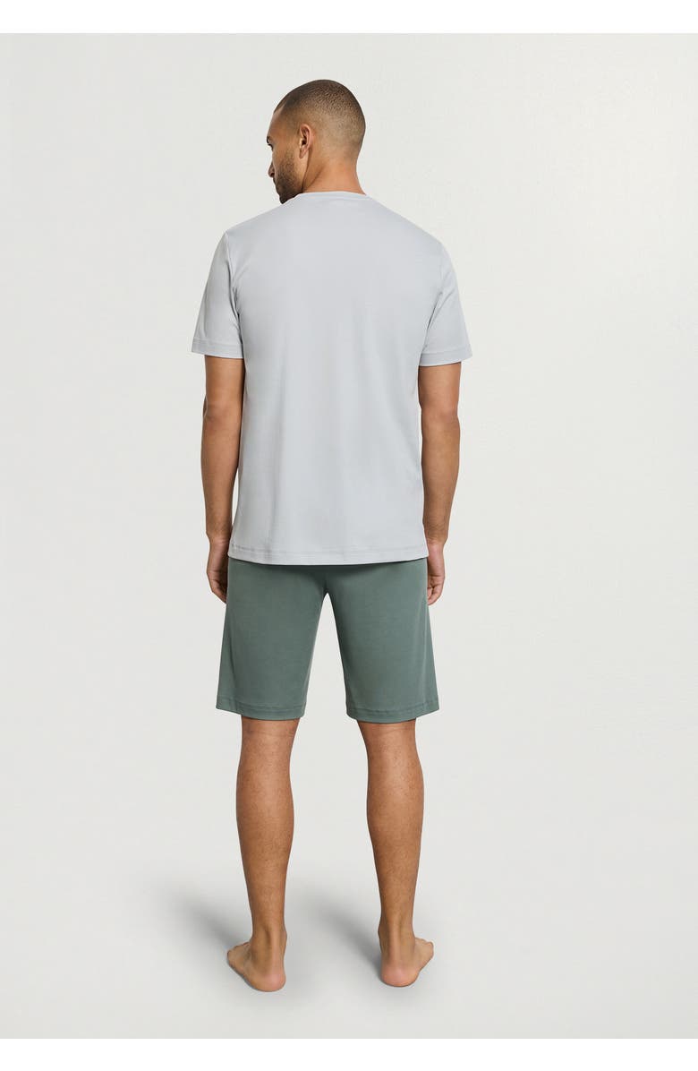 Hanro Night And Day Cotton V-Neck Pajama Set, Alternate, color, Studio Green