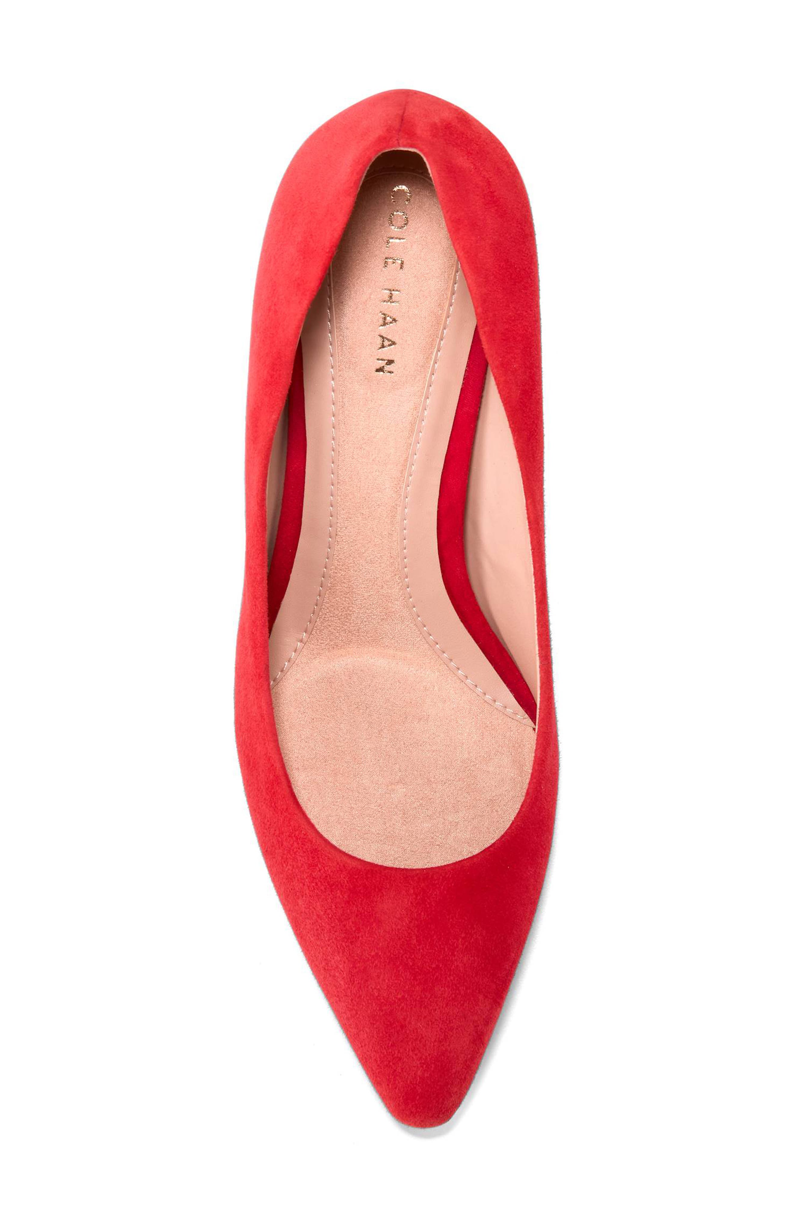 The Go-To Janey Pointed Toe Pump, Alternate, color, SALSA SUEDE