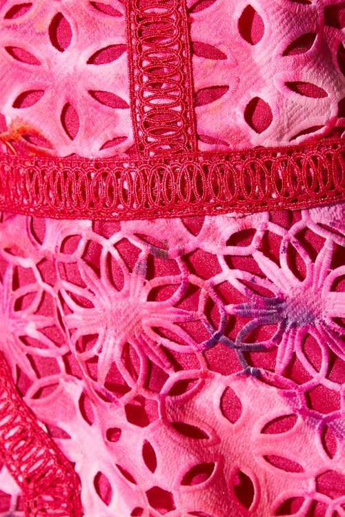 Coast Petite Printed Lace Midi Pencil Dress In Pink