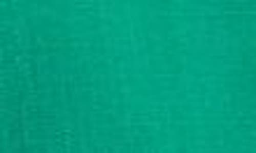 Tahari Asl Wide Leg Pants In Clover