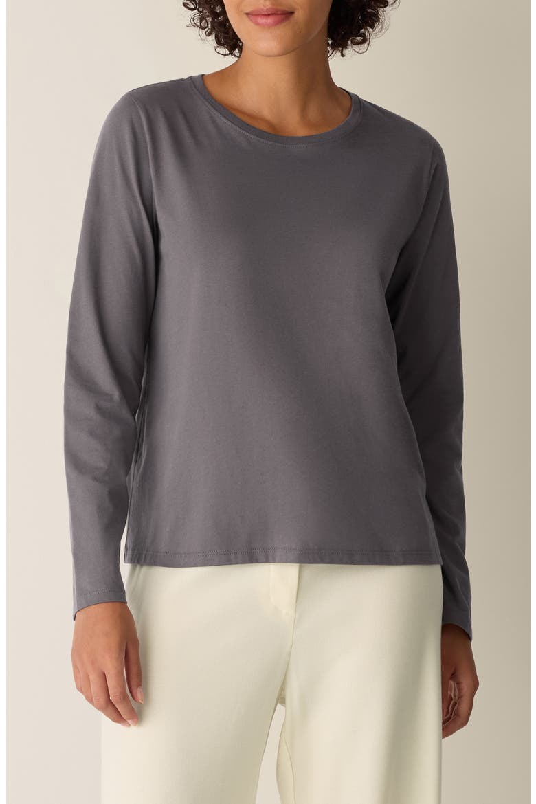 Organic Cotton Long Sleeve T-Shirt, Main, color, RYE