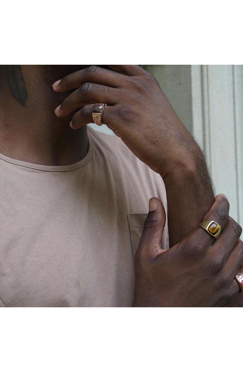 LuvMyJewelry Red Pietersite Textured Sterling Silver Men Signet Ring, Alternate, color, 