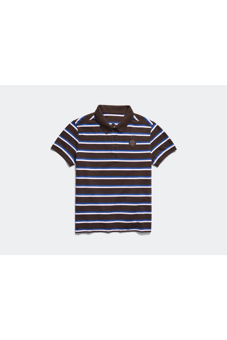 Almira Striped Polo Tonal Disc, Alternate, color, Terra Moncton Stripe