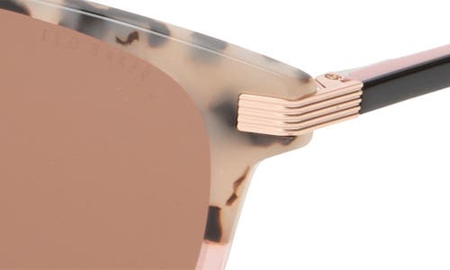 Ted Baker London 56mm Cat Eye Sunglasses In Brown
