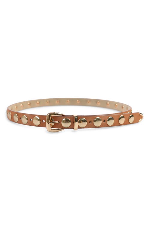 Petit Moments Disc Stud Belt In Brown