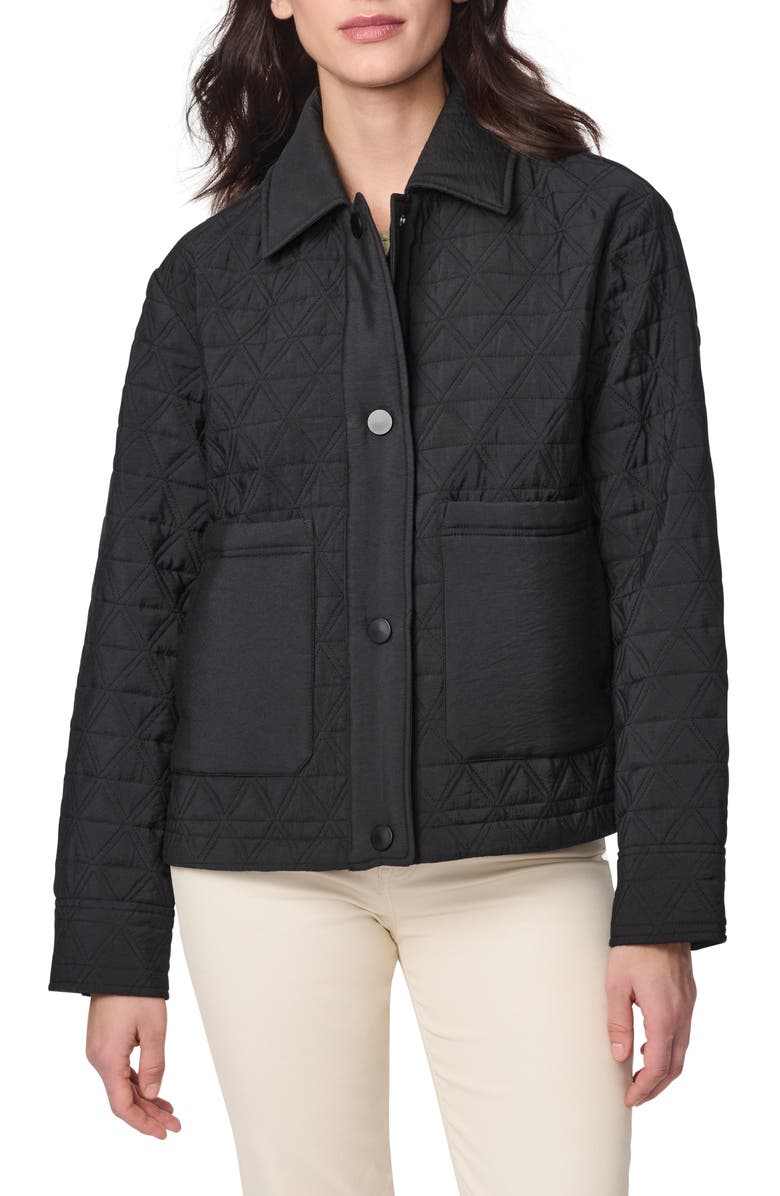 Bernardo Textured Quilted Snap-Up Jacket, Main, color,