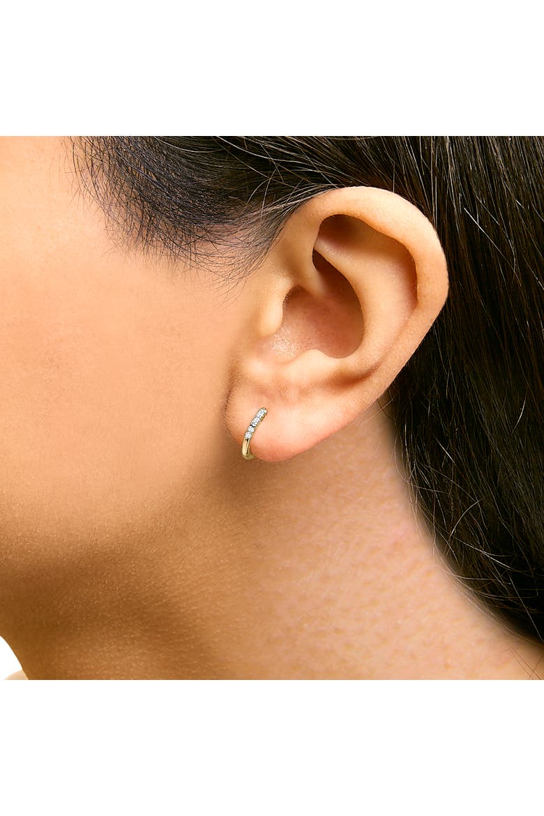 10K Gold 1/4 Cttw Diamond Double Sided Huggie Hoop Earrings, Alternate, color, Yellow