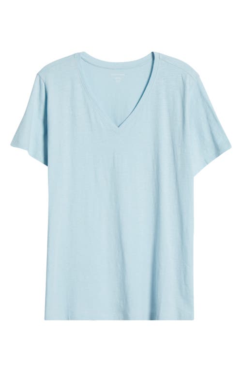 Eileen Fisher Easy V-neck Organic Cotton T-shirt
