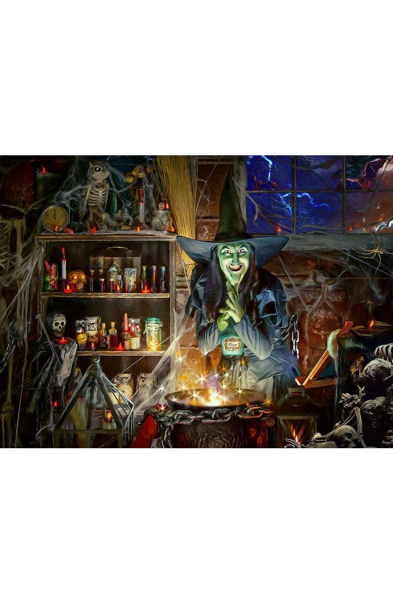 Sunsout Poison Brew 1000 piece Jigsaw Puzzle for Adults, Alternate, color, Multicolor