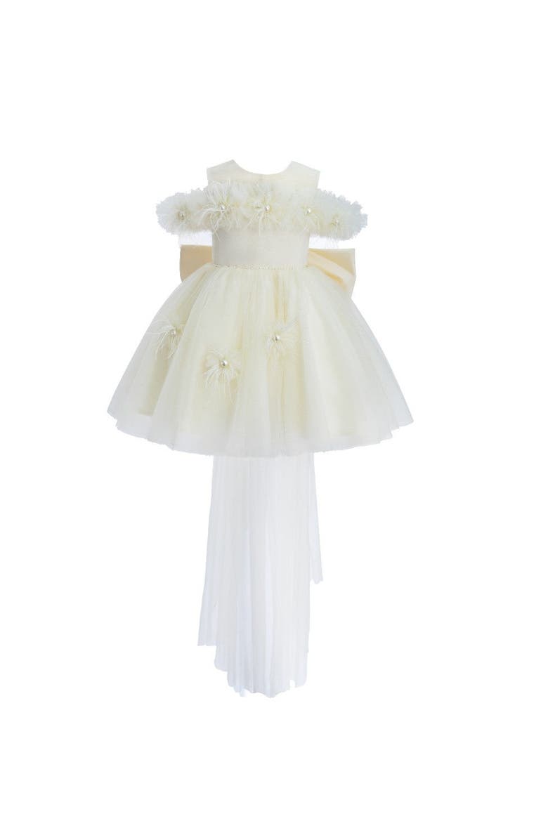 Tulleen Floral Tulle Gown, Alternate, color, Ivory