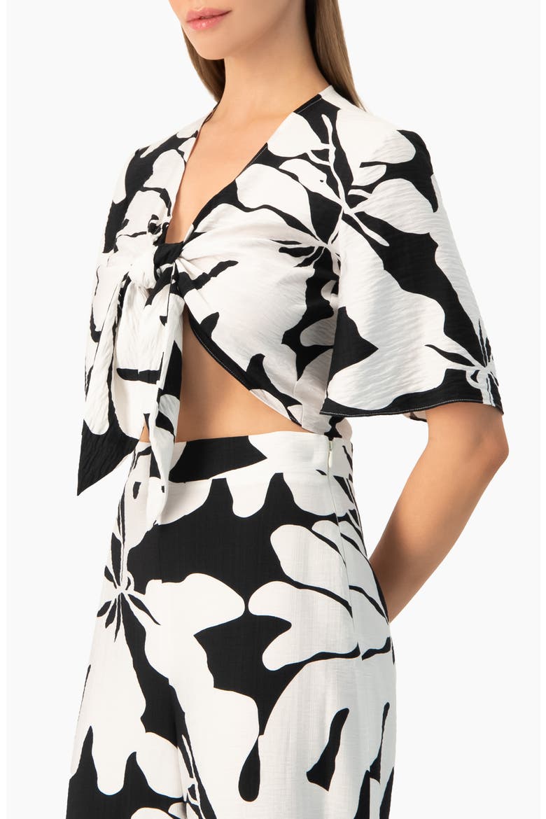 Bold Floral Print Tie-Front Wide-Sleeve Crop Top, Alternate, color, Black