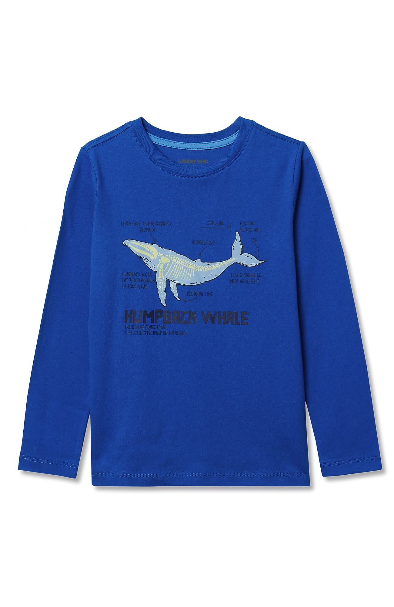 selected Cobalt Humpback Whale