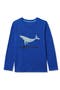 selected Cobalt Humpback Whale