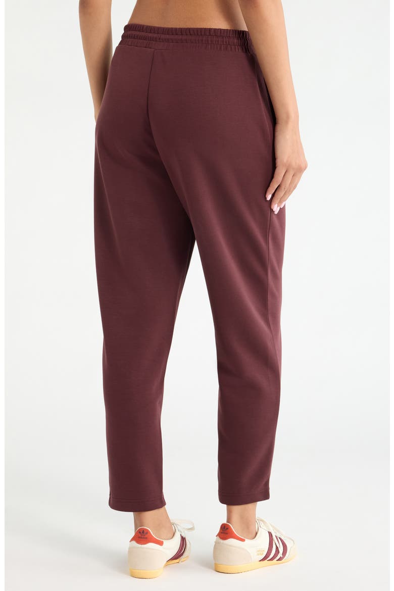Soft Luxe Ankle Pants, Alternate, color, BROWN RISTRETTO