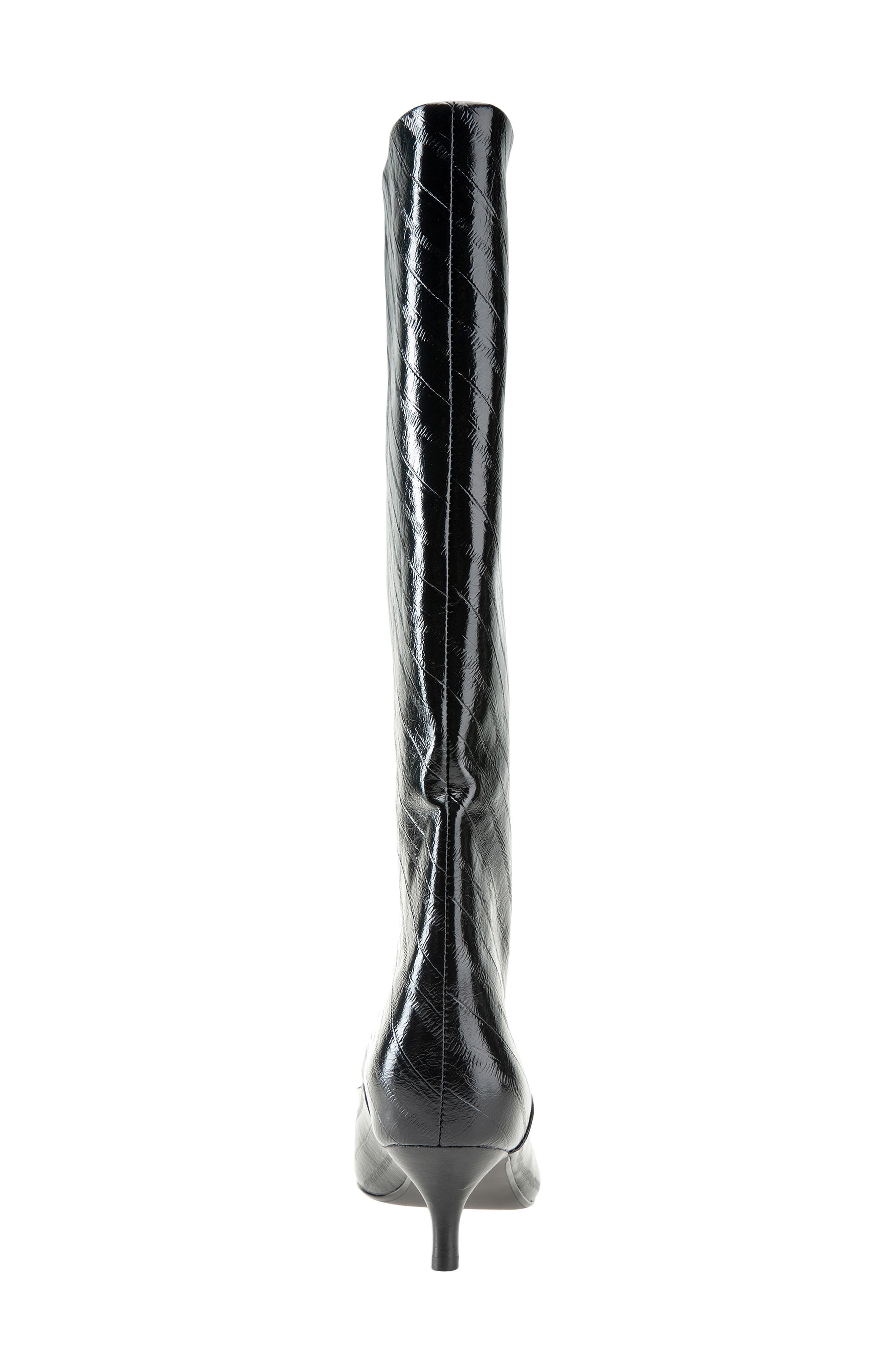 Brisbane Kitten Heel Pointed Toe Knee High Boot, Alternate, color, BLACK