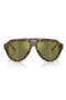 Brown Tortoise / Green Gold