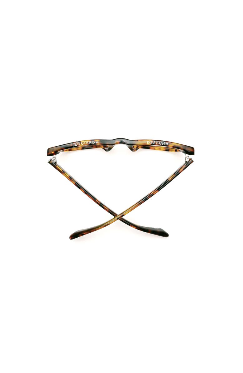 Caddis D28 | Reading Glasses, Alternate, color, Terrapin