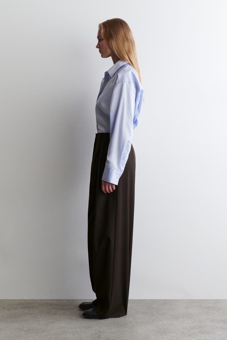 Relaxed Twill Wide-Leg Pants, Alternate, color, DARK BROWN