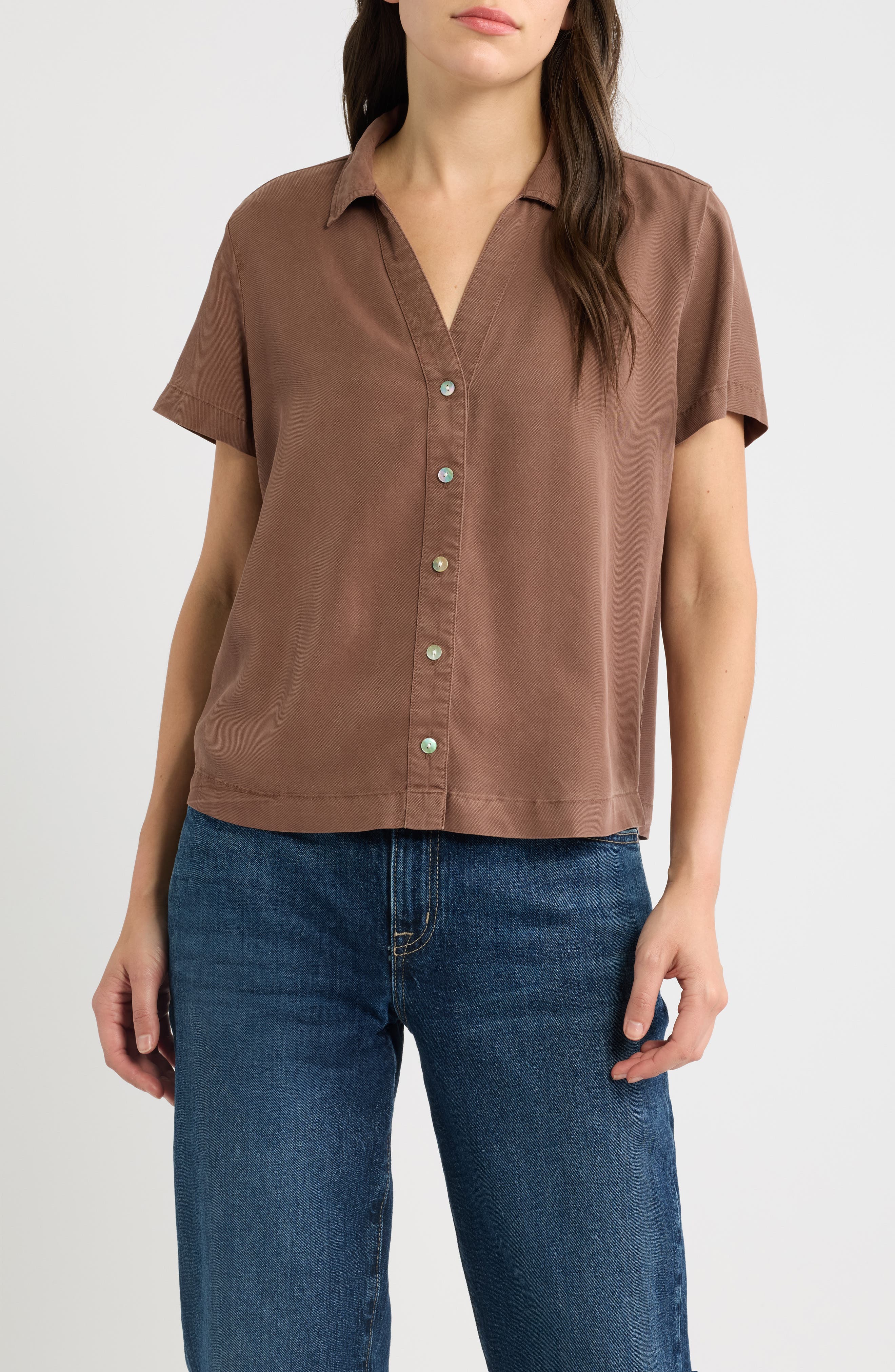 SADDLE BROWN