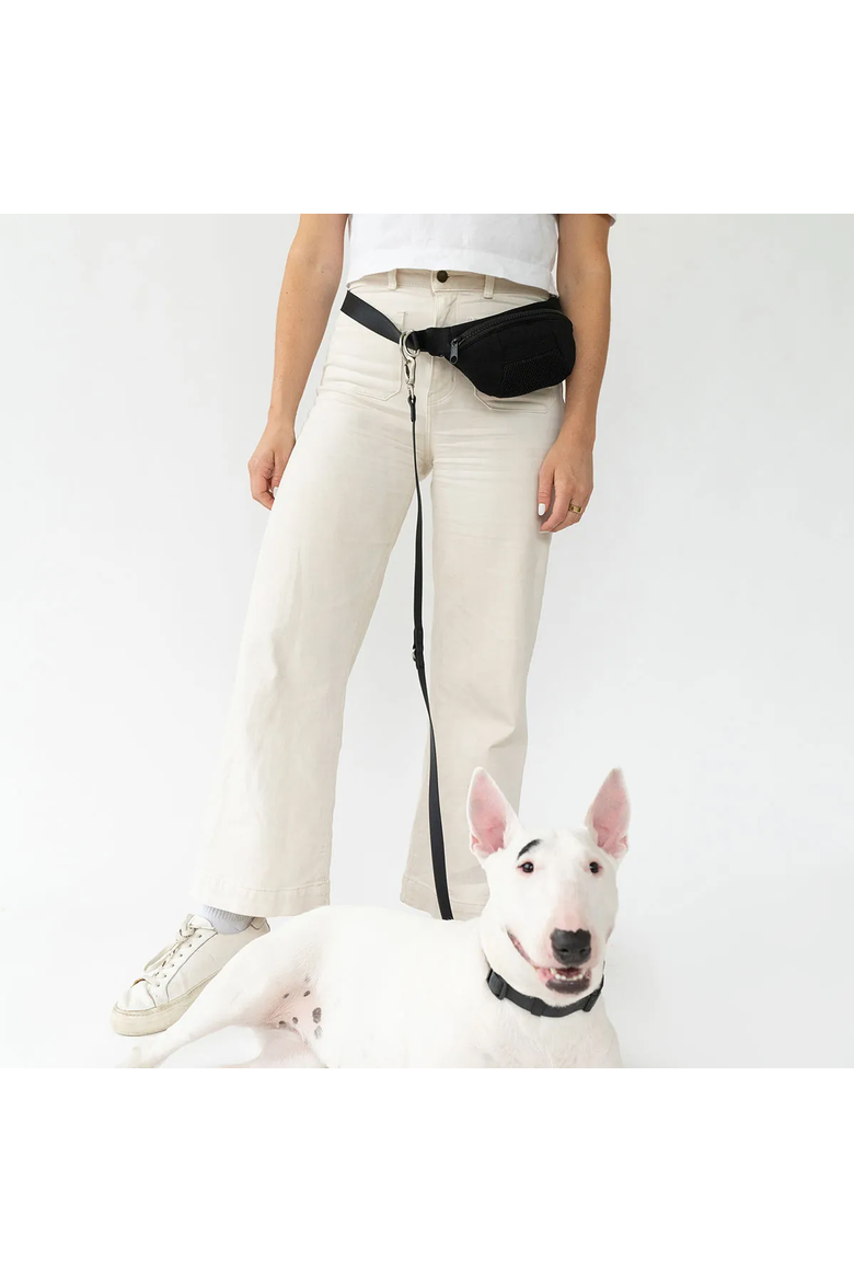 4-in-1 Hands-Free Dog Walking Leash Bag by Springer Pets, Alternate, color, Bright Red