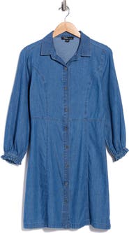 Trove New York Long Sleeve Denim Shirtdress