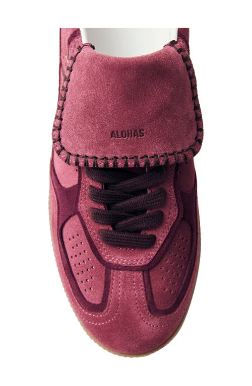 Alohas Tb.490 Club Suede Raspberry Leather Sneakers Raspberry In Pink