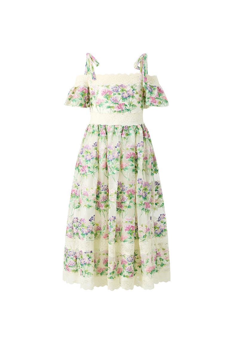 Clementine Embroidered Maxi Dress, Main, color, Floral