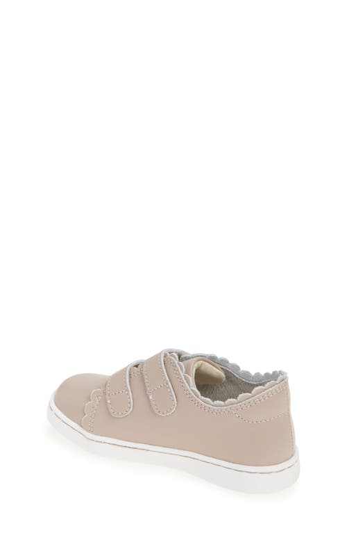 L'amour Caroline Scallop Sneaker In Brown