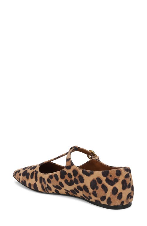 Sarto By Franco Sarto Flexa Astoria T-strap Flat