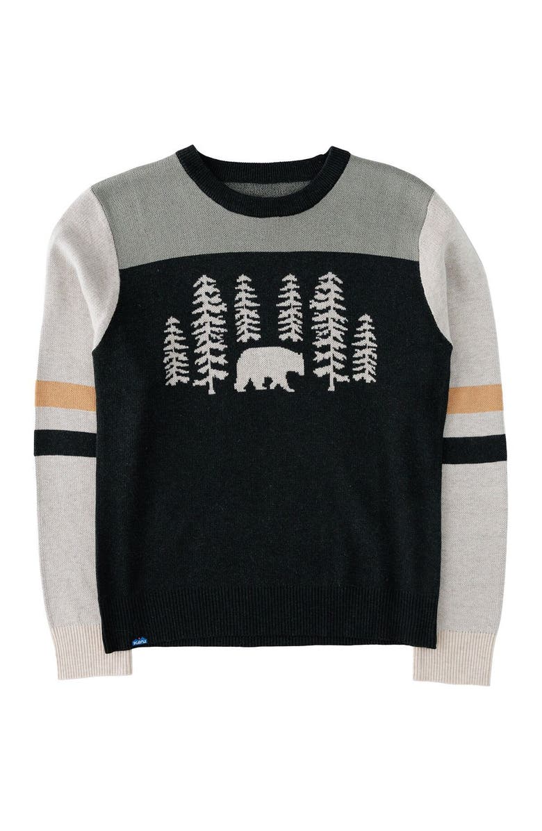 KAVU Hillrose Sweater - Women's, Main, color, Tree Bear