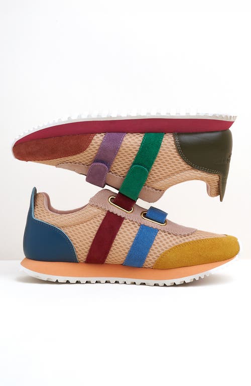 Charlotte Stone Conway Sneaker In Multi