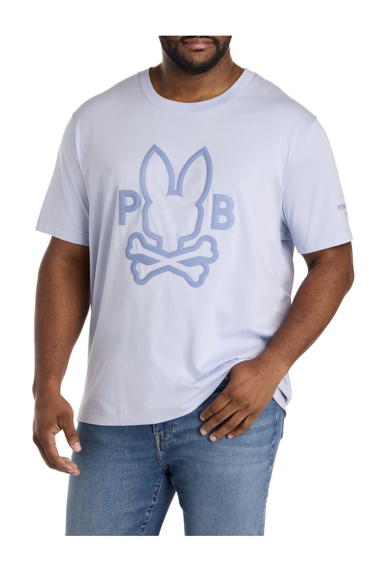 Big & Tall Chris Graphic Tee, Main, color, ZEN BLUE