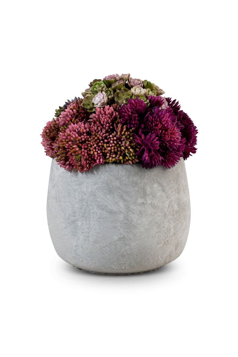 Bailey Ceramic Sedum, Alternate, color, Pink