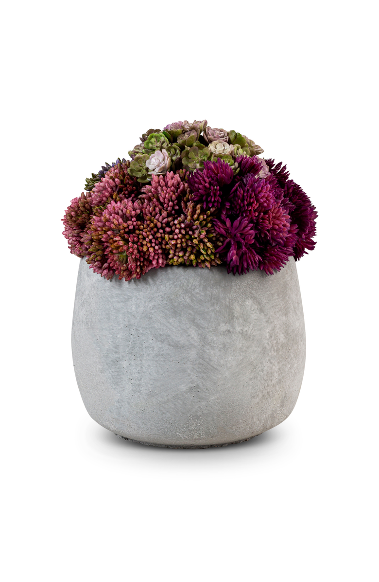 CocoBella Bailey Ceramic Sedum, Alternate, color, Pink