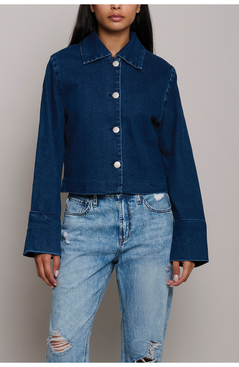 TT Studios Jane Denim Jacket, Main, color, Beekman St.