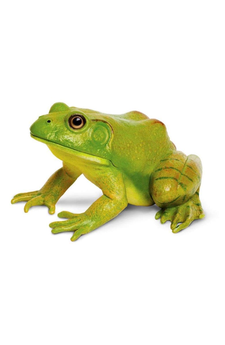Safari Ltd. American Bullfrog Toy, Main, color, NO COLOR