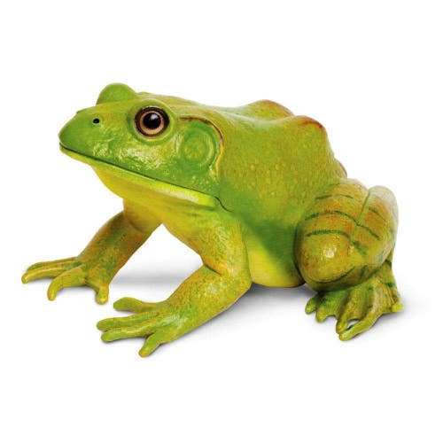 Safari Ltd. American Bullfrog Toy  product