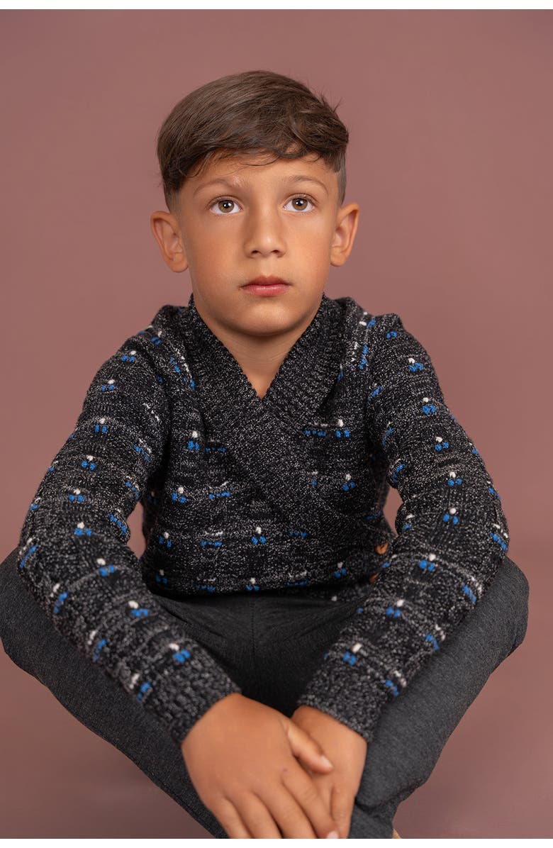 Mr. Mr. Shawl Collar Textured Cable Knit Cardigan, Alternate, color, Dark Almond