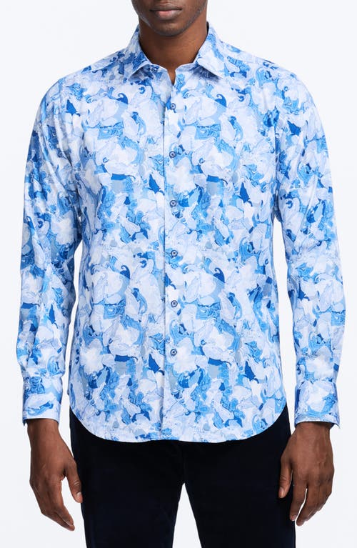 Robert Graham Baskerville Koi Print Stretch Cotton Button-up Shirt In Blue