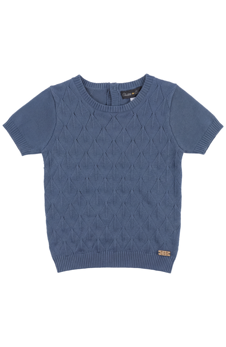 Charlotte & George Diamond Knit Short Sleeve Sweater, Main, color, Moonlight
