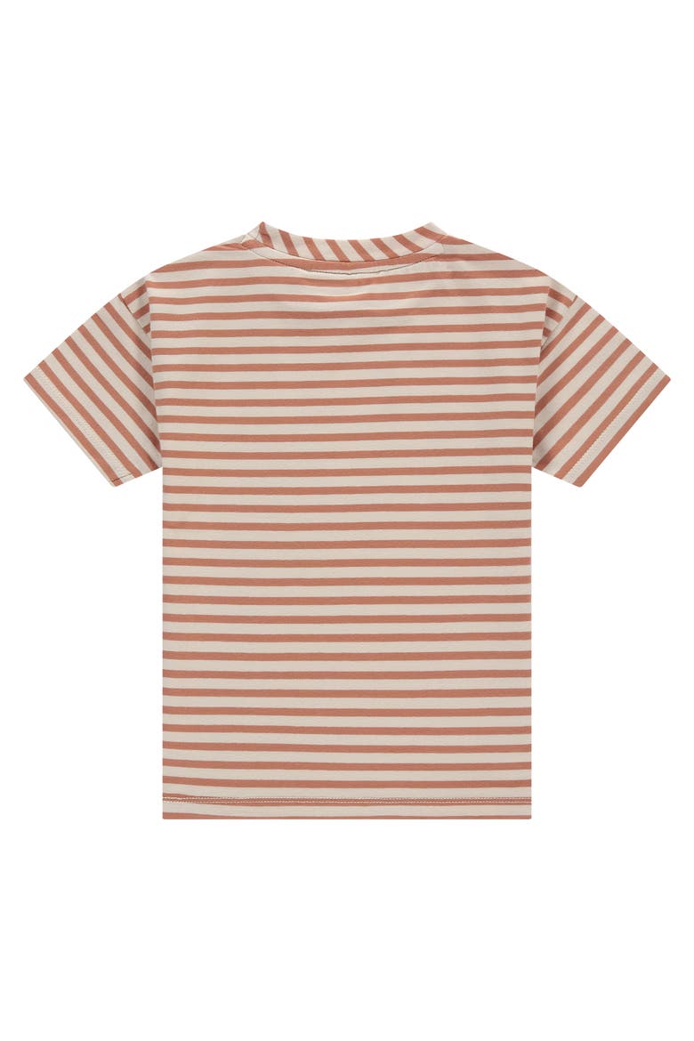 Striped Short Sleeve T-Shirt With Pocket Accent, Alternate, color, Canyon