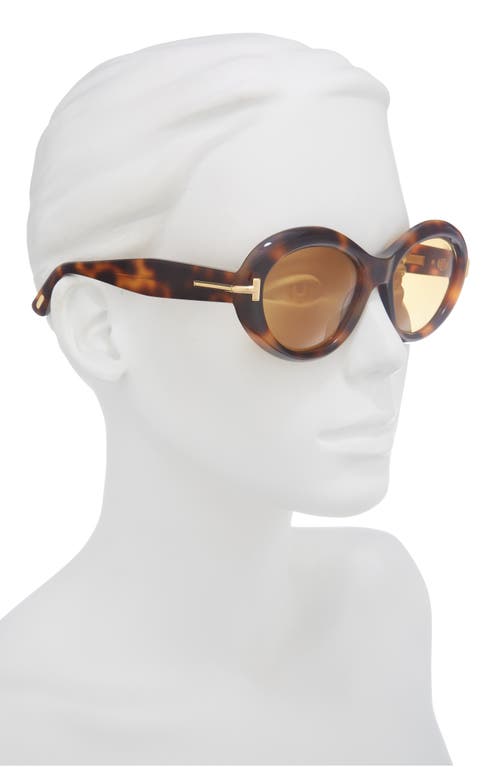 Tom Ford 55mm Oval Sunglasses In Brown