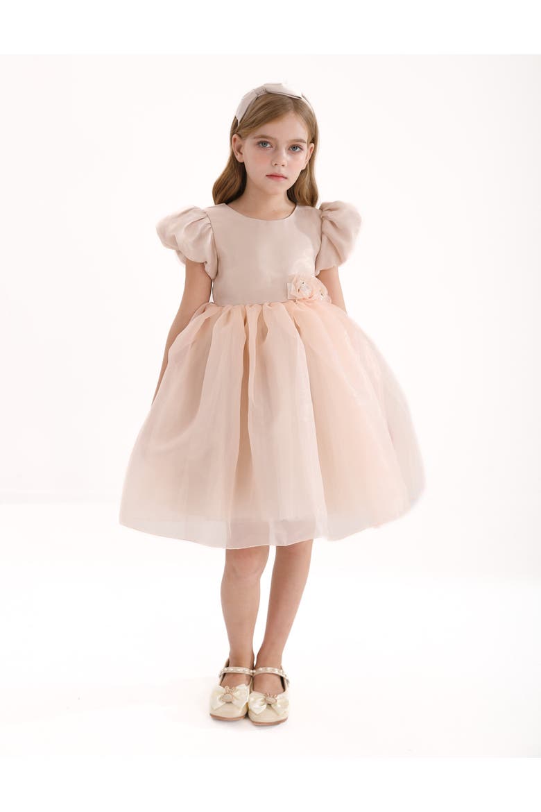 D'Amico Dress, Alternate, color, Champagne