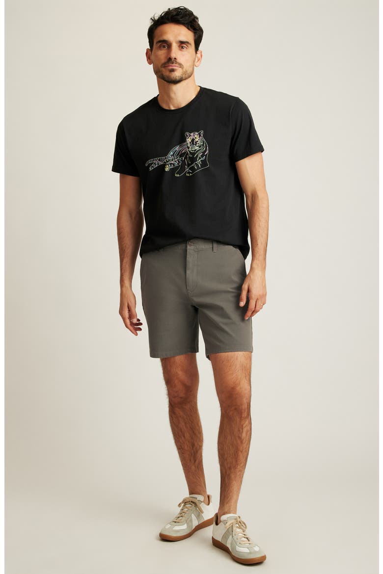 Washed Stretch Twill Chino Shorts, Alternate, color, CONGO