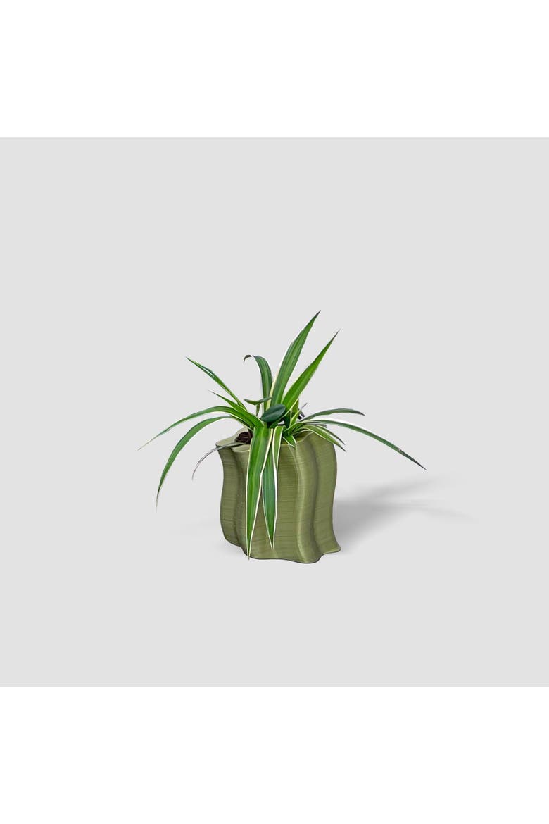 Frosting Short Planters, Main, color, Green