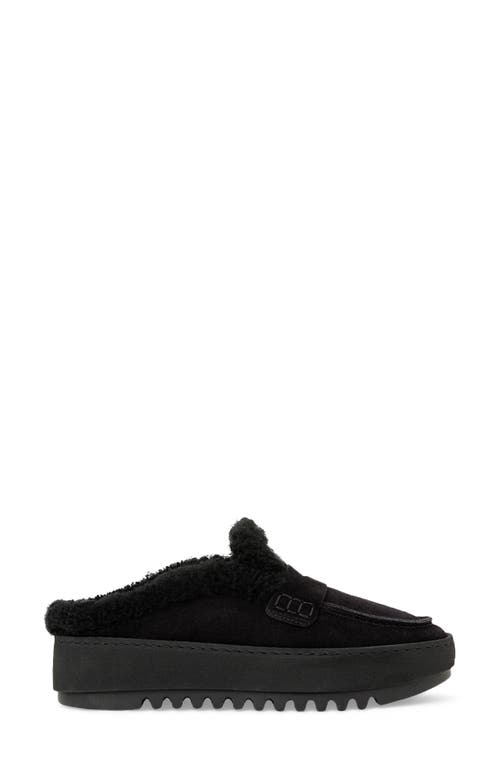 Aquatalia Amata Genuine Shearling Lined Mule In Black